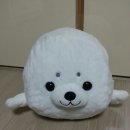 위드쫑 이미지