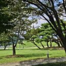 요기＆김밥 | 충주여행맛집 김밥은요기 충주분식맛집 피크닉 포장후기