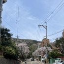 뚜레쥬르 부산남천점 이미지