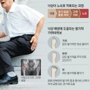 ﻿고령자 낙상시 보름 병원 신세.. 평소 하지·발가락 힘 길러야﻿ 이미지