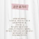 더파란 티스토리