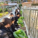 연포초등학교 이미지