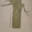 김일환 | 김일환 展.