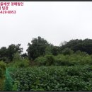 연천군마전리보건진료소 이미지