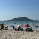 제주스테이 멀리 이미지