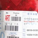 손톱이예술 이미지