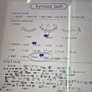 포인트 무드 | 강남역 속눈썹 잘하는 곳, 바이무드 펌포인트연장 후기