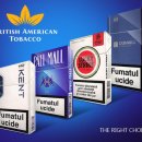 [끄적거림] BTI 투자할만한가 ? 고민 (British American Tobacco) 담배주