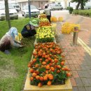 욕지면사무소 이미지