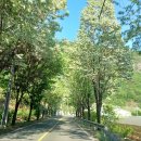 밀양댐문화관 이미지