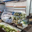 복자할매충무김밥 이미지