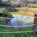 진도펜션 소해정 이미지