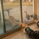 딸기네 민박 이미지