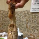 장곡민박산장 이미지