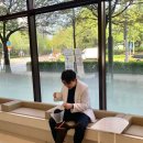 원주동물병원 이미지