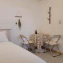 제주 빙새기 이미지