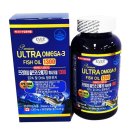 에버그린 이미지