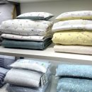 알레르망스핑크스군산점 이미지