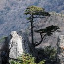 지리산 쌍실종주 (쌍계사→삼신봉→세석→벽소령→연하천대피소→음정) 이미지