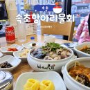 4488 | 속초 점심 맛집 속초항아리물회 이전 후 웨이팅 후기