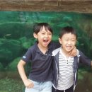 울산삼성어린이집 이미지