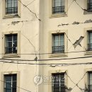 호텔카리브 이미지