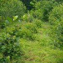 굿마루농장 이미지