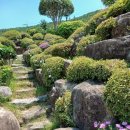 하늘보라 - 동구 중앙대로196번길 6-7 | 하늘보라