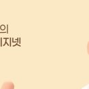와이지넷 - 동구 신서로21길 3-11 | 와이지넷