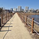 나불지공영주차장 이미지