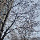 영어도서관 | 드디어 오픈! 여의도 브라이튼 도서관 시범운영 후기 (영어 키즈카페 대박 예감)