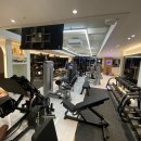 얼라이브 짐 이미지