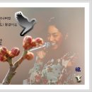 순정노래연습장 Daum카페
