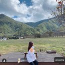 울릉도상회 티스토리