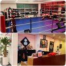 올스타 복싱클럽 이미지