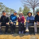송촌교 - 443 | 송촌교