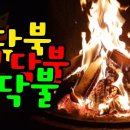 모닥불 이미지