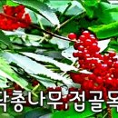 수지봄한의원 이미지