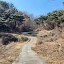 팔공산 둘레길 4구간 이미지