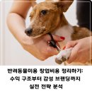 강아지탐험대동물미용업 | 반려동물미용 창업비용 정리하기: 수익 구조부터 감성 브랜딩까지 실전 전략 분석