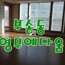 부송영무예다음 이미지