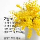 2월3일 이런저런 이야기들 이미지