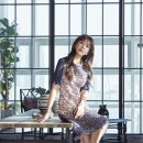 크로커다일 대리점 이미지