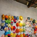 금오름농장 이미지