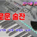 외로운 술잔/전자올겐 연주 이미지