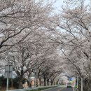 보성터미널앞 이미지