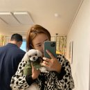참치와사비 이미지