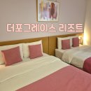 더포그레이스호텔앤리조트 | <더포그레이스 리조트> 서귀포 성산일출봉 근처 가성비 숙소 추천 제주도 가족여행 리얼 후기