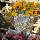 에코세븐 | [영국] 런던여행 2(브릭레인 플라워 마켓, 런던 스투시 쇼핑, 런던 슈프림, 세븐시스터즈 벌링갭)