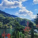 골든트리 이미지